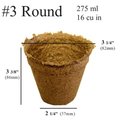 Tento Campait 3 in. Round Pot; 275 ml - 16 Cubic Inch TE258883